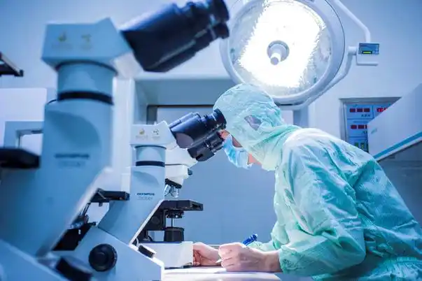 关注医美之都首个引进实验室存活率超85自体脂肪细胞美容科研获重大