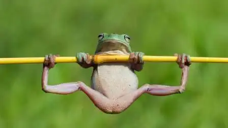 搞笑视频合集: 一言不合就劈叉, 你问过你脆弱的裤子了吗?