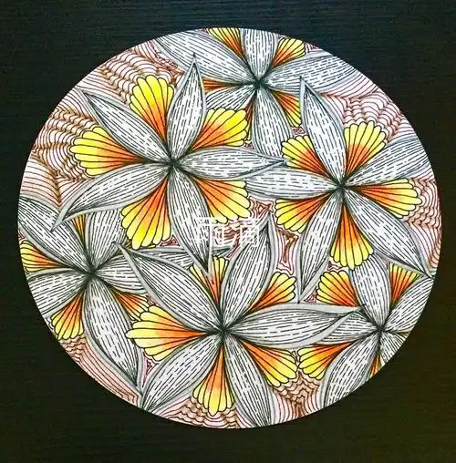 插画 线描 彩色 线条 装饰画 点线面 蝴蝶