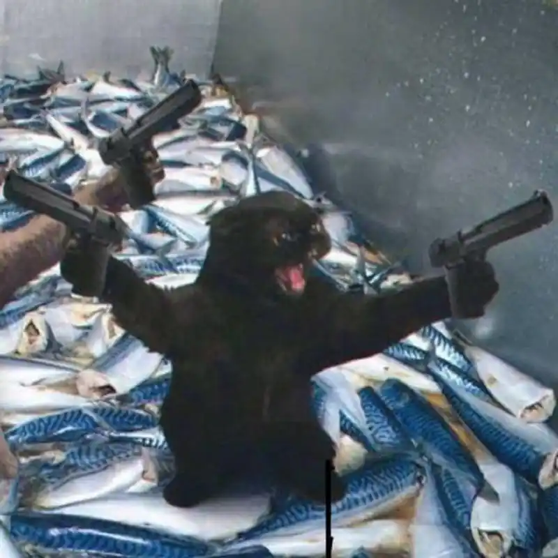 一组情侣头像,够沙雕 #精选搞笑##搞笑# @小笙艺术