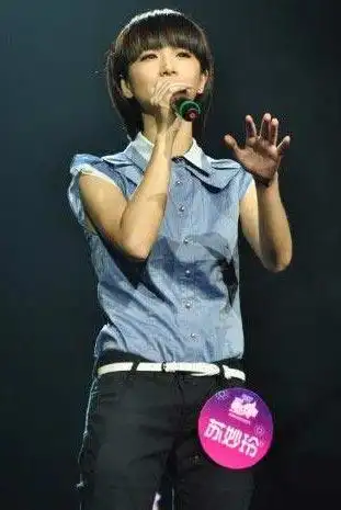 保山政府为段林希选秀撑腰意欲何为-"快女"