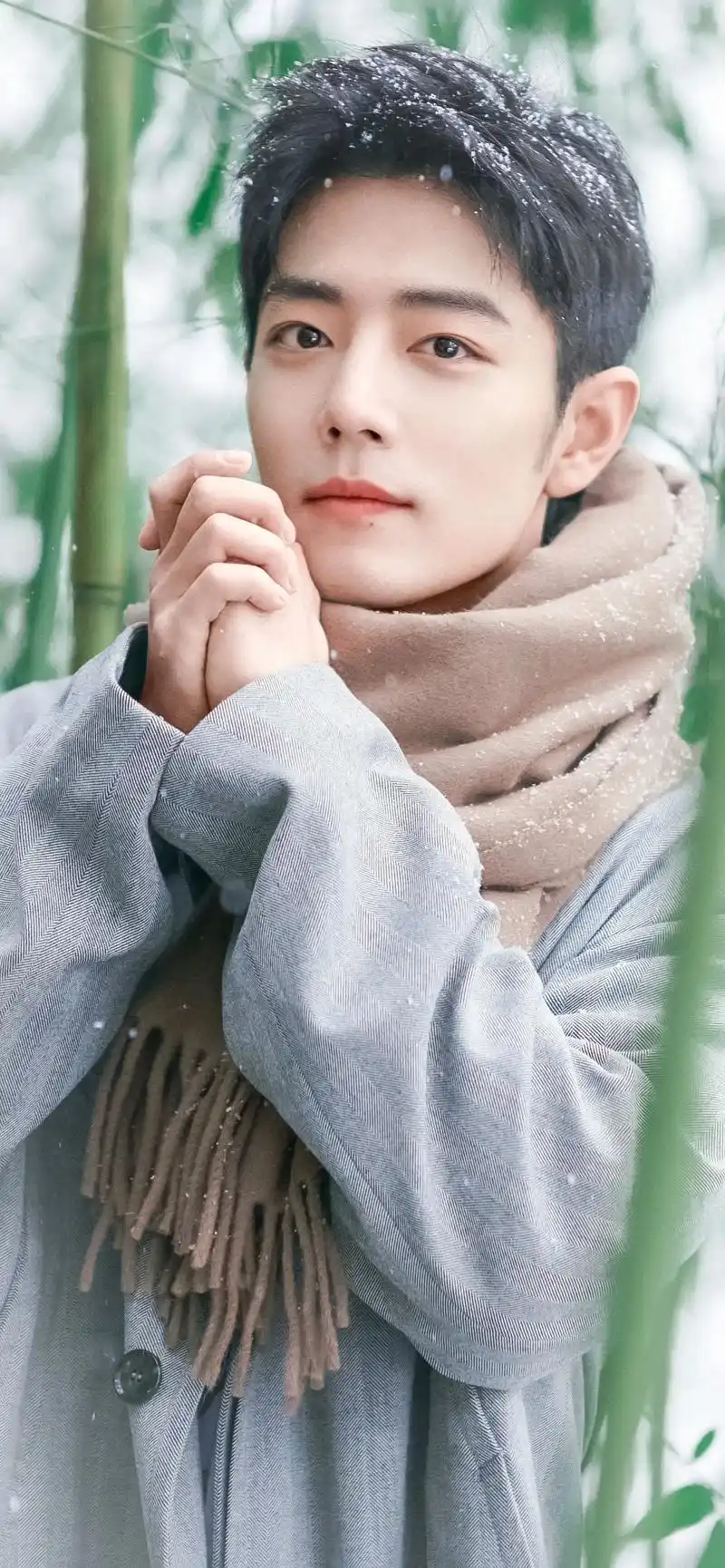 肖战 #肖战冬至竹林大片 #热爱可抵岁月漫长 #期待202 - 抖音