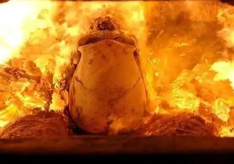 人生不过百年·【等进了火葬场过程就一样了】