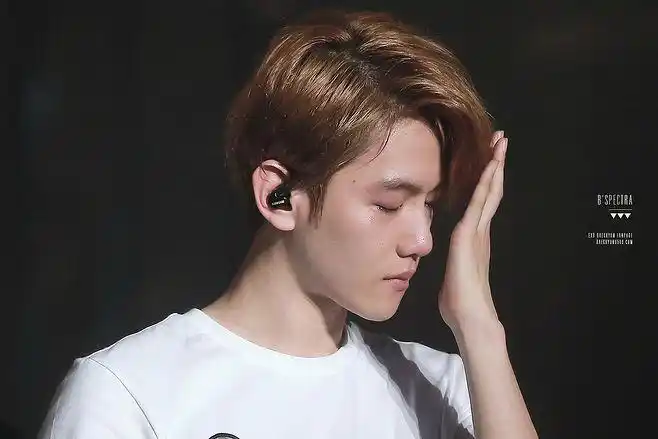 饭了这么久从来也没见边伯贤哭过.