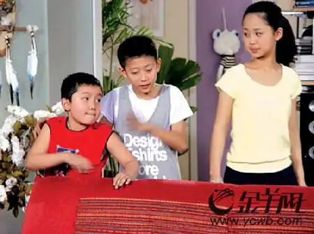 家有儿女不拍第五部