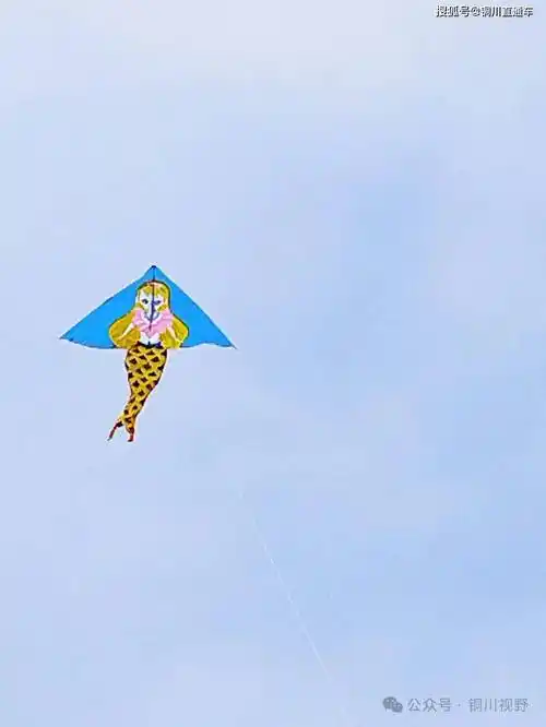 走,周末去铜川大唐养生园放风筝【摄影铜川吕卫东】