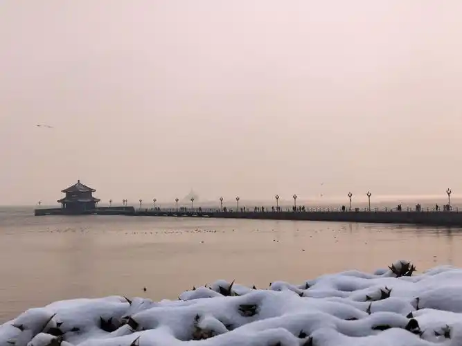 青岛热门游记,青岛自助游游记,青岛旅游热门游记 - 马蜂窝