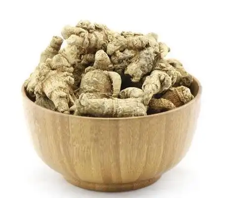 新鲜三七的药用功效与主治作用,田七的功效与作用及食用方法 新鲜田七