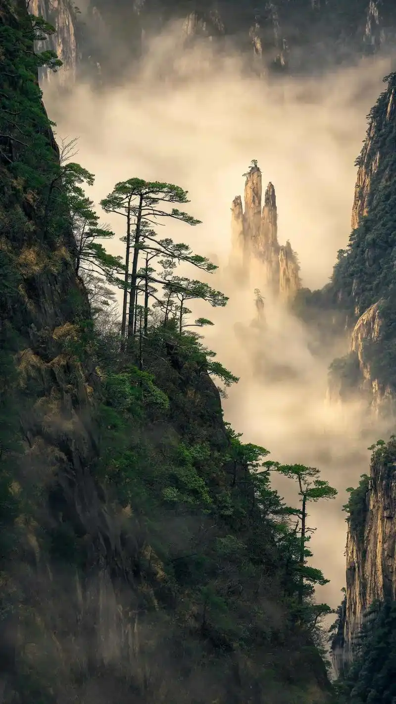 绿色护眼哦!#创作灵感 #手机壁纸 #壁纸超清4k手机壁纸  - 抖音