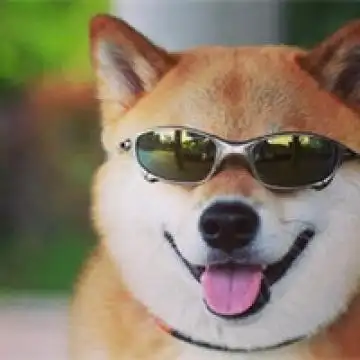 治愈系可爱狗狗,动物头像图片-回车桌面