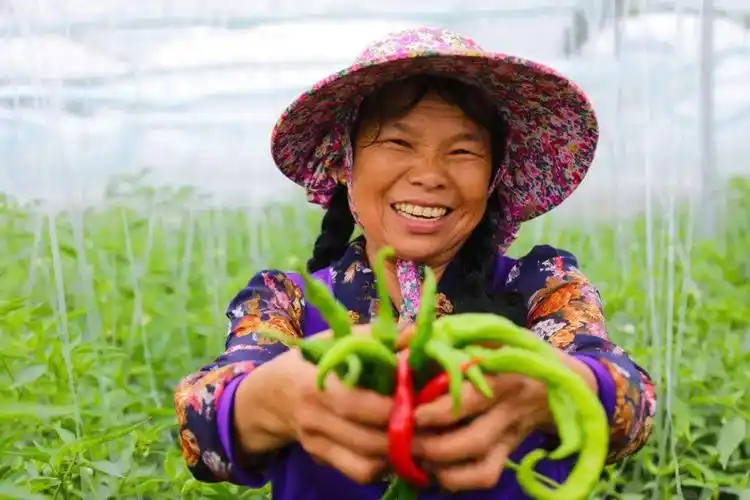 最美的风景是人民群众发自内心的笑容是奋斗者绽放的笑容这一张张笑脸