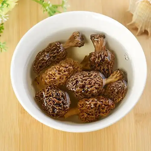 中国内蒙古自治区特价骏然系列大陆赤峰市羊肚蘑菇100g山野菜香菇类