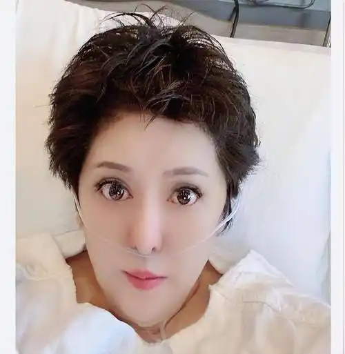 向太陈岚发年轻时照片,颜值惊艳不输关之琳,向佐却被无情嘲讽_刘德华