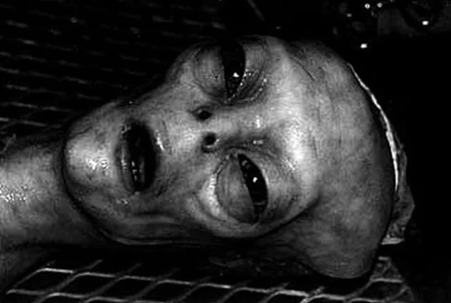 你真相信外星人存在吗?