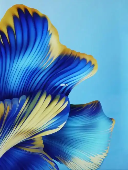 华为壁纸素材来自网页搜索