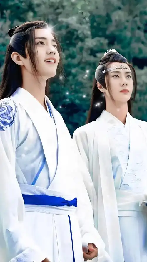 陈情令 王一博 肖战