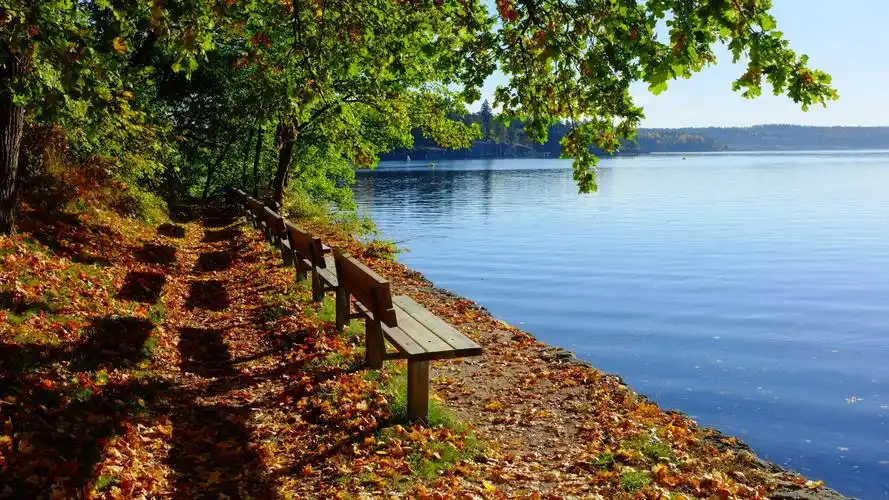 浓浓秋色美如画