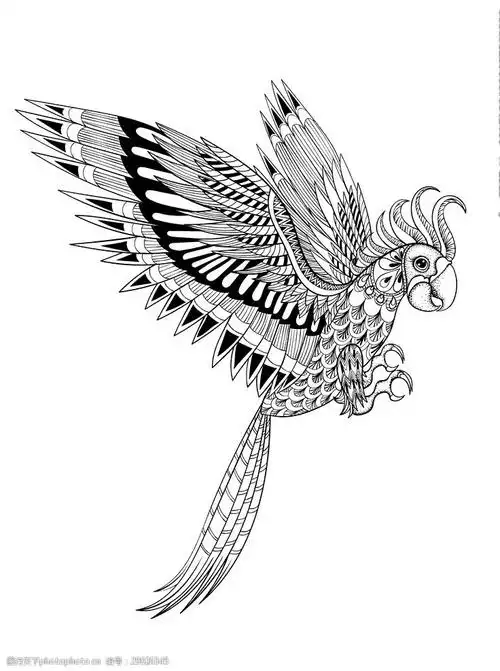 手绘线描黑白动物矢量图