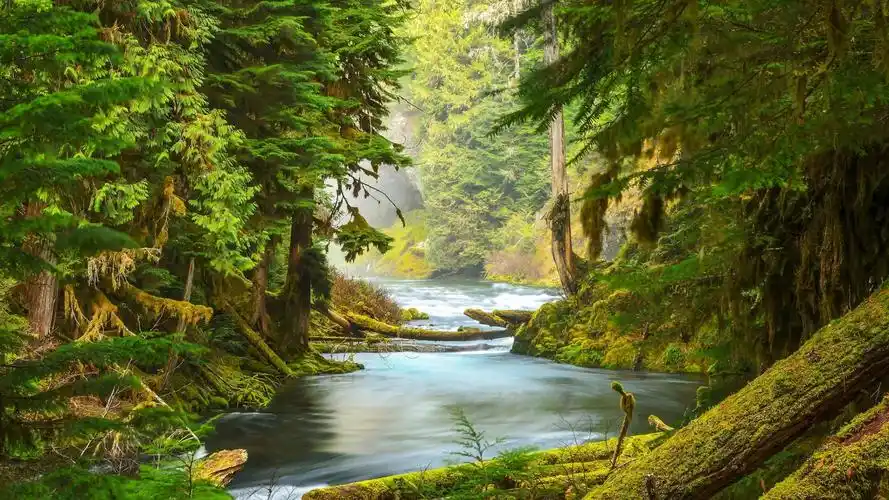 护眼壁纸【522】壁纸是一款电脑壁纸,属于小清新分类