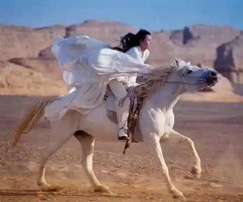 听闻刘德华坠马了横店的假马马躯一震