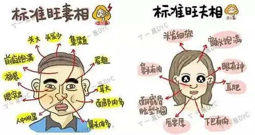 1分钟学会识别旺夫相旺妻相