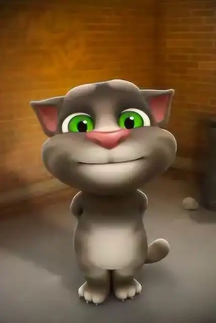 会说话的汤姆猫