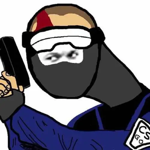 进来写作业_《csgo来高闪》