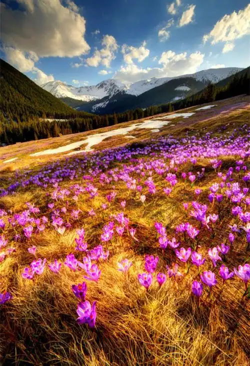 美景#-堆糖,美好生活研究所