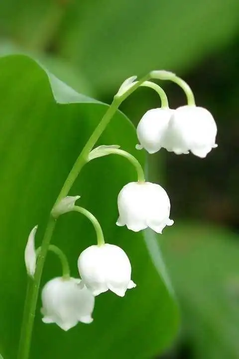 原宿风手机壁纸2