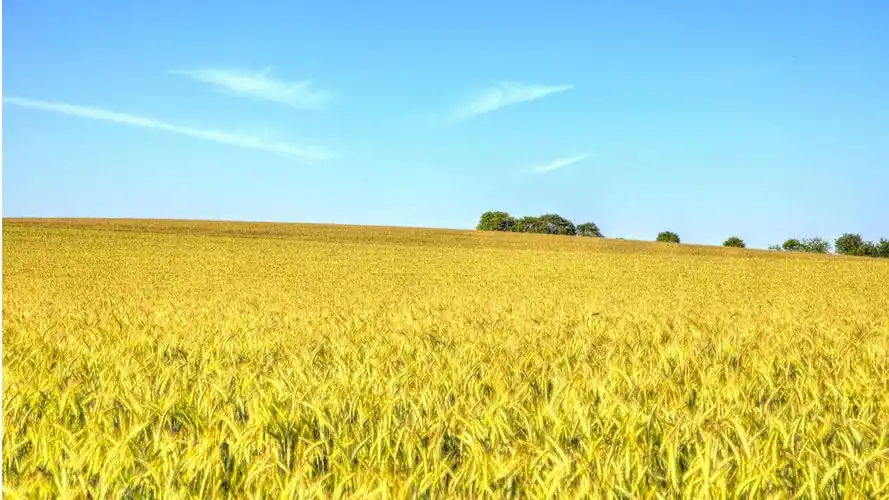 秋天丰收的美景,风景-回车桌面