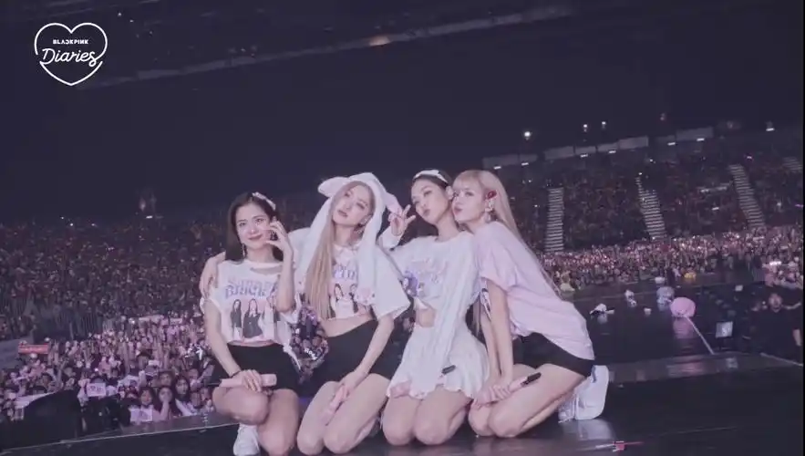 堆糖,美图壁纸兴趣社区