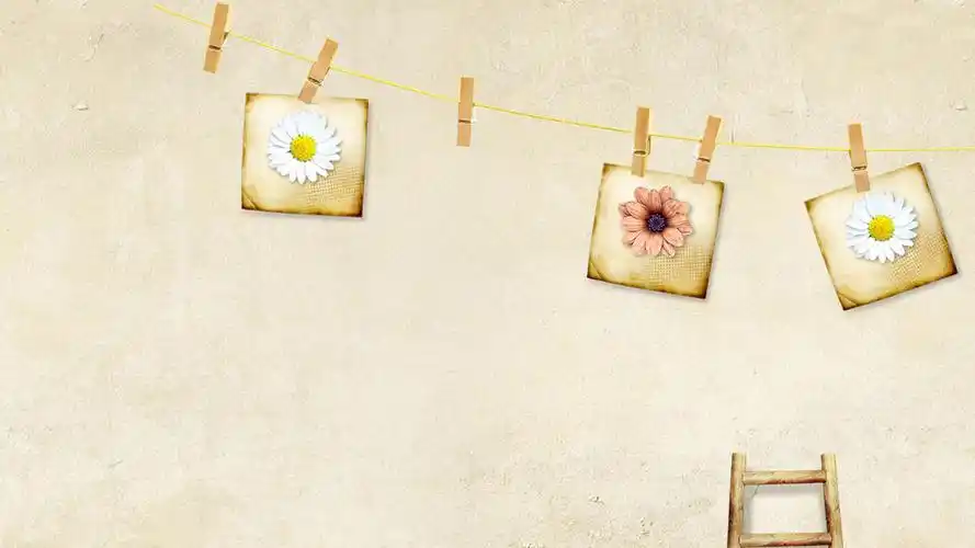 安卓(android)小清新 静物写真高清手机壁纸免费下载,安心市场-用安卓