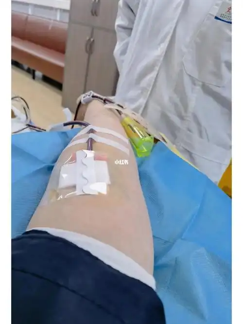 第一次献成分血