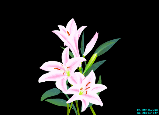 花草动态图——8