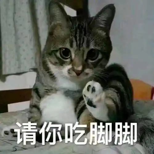 请你吃脚脚猫咪猫咪脚脚表情