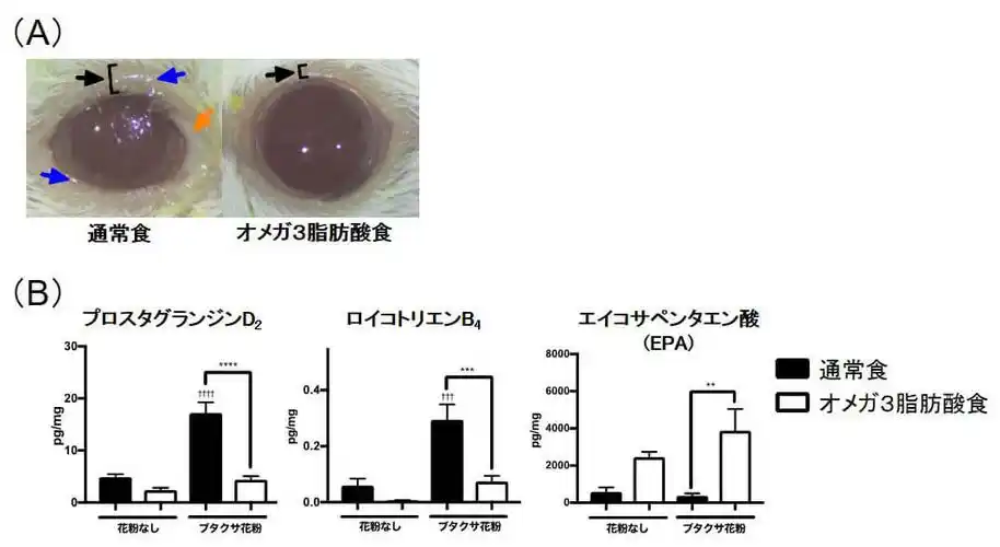 omega-3脂肪酸可有效缓解过敏性结膜炎