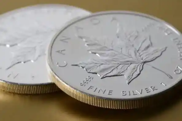 这款银币采用了bullion dna64 防伪技术,是加拿大皇家造币厂所独有