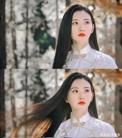 「推文」高质量公路文推荐,喜欢《半妖司藤》的小伙伴看过来