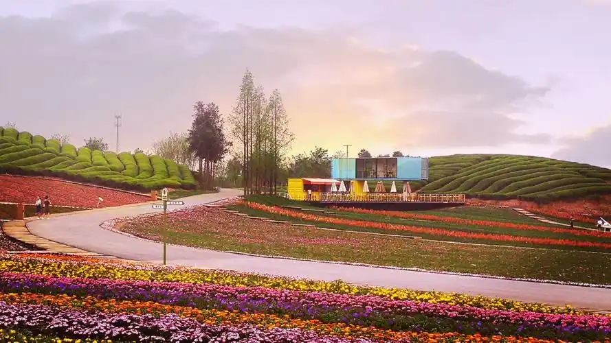 浙江.武义花田小镇(mate9)