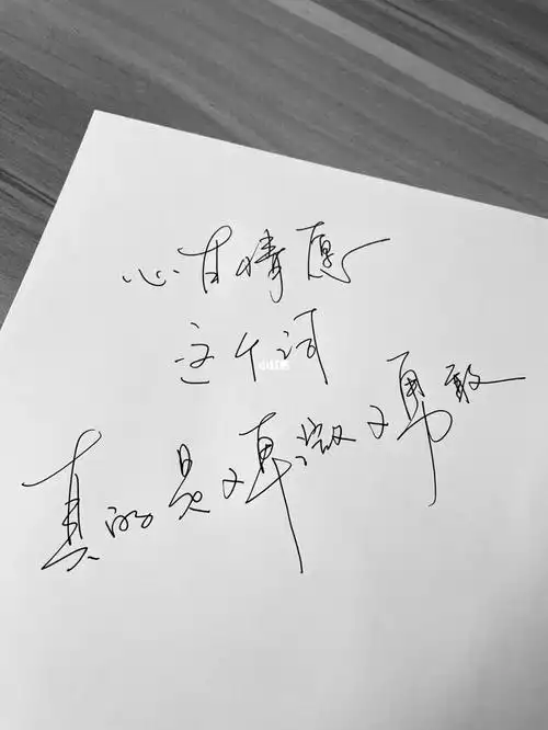 手写71心甘情愿这个词真的是又卑微又勇敢