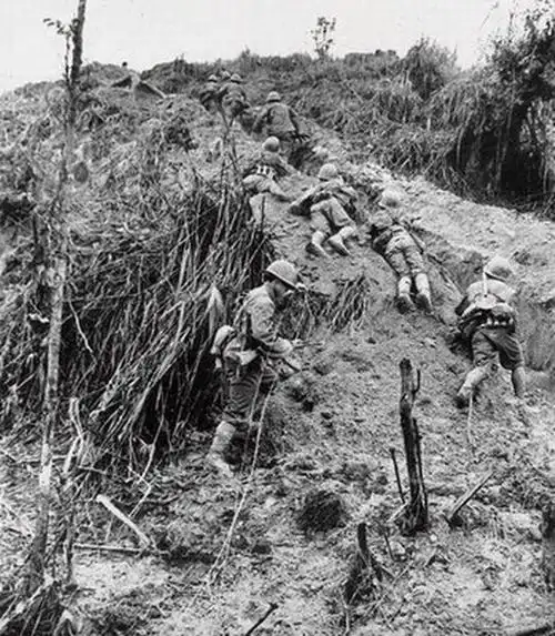 中越战争未公开的珍贵影象)② - 海阔山遥 - .