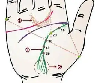 如果生命线分叉,会发生什么呢?