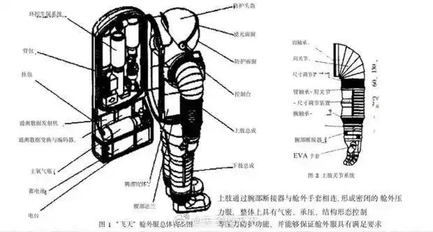 3000万的中国空间站舱外航天服,小龙虾帮了忙