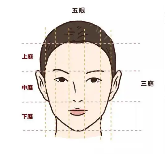怎么根据三庭五眼选发型?选对了效果堪比整容