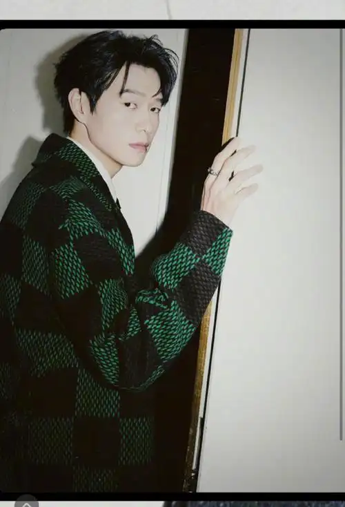 96格纹大衣 白衬衫 领带帅气十足,侧颜绝杀#魏大勋大衣造型库存