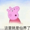 小猪佩奇表情包