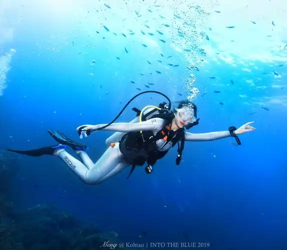 想在海底听迷幻乐ow潜水考证攻略被红短裤教练凶到要哭是一种什么体验