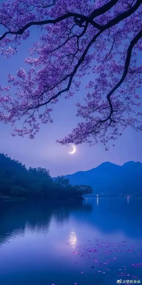 月牙樱花湖光山色唯美境意壁纸