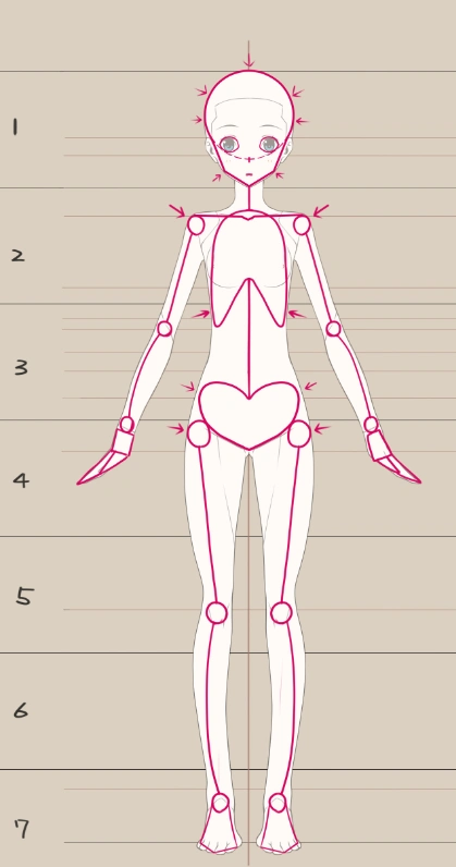 人体结构真的很难吗?绘画萌新一定要搞懂的人体画法!