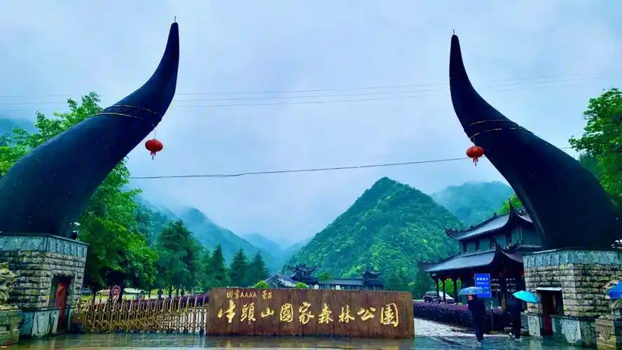 浙江金华洗肺好去处牛头山国家森林公园